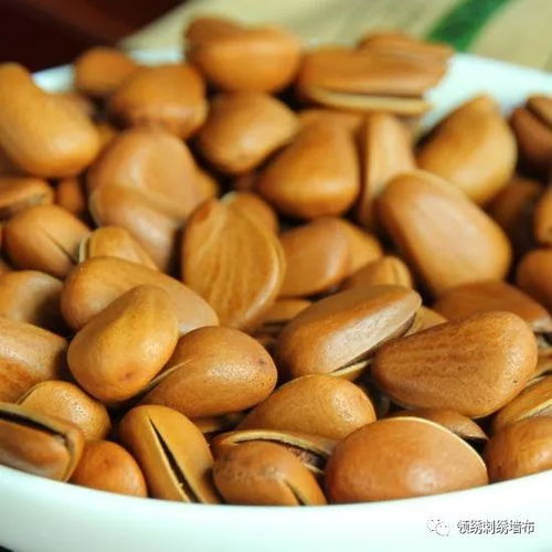 營(yíng)養(yǎng)與成就的交匯點(diǎn) 論飲食與事業(yè)的緊密結(jié)合——以干果銷售為例